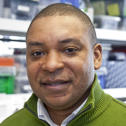 Franck K. Kalume, PhD