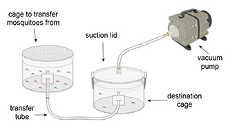 A diagram outlining insectary devices.