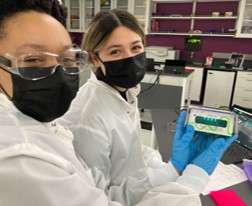 Students looking at fluorescing qPCR tubes in a blue light viewer